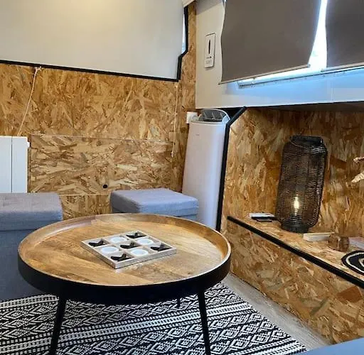 Bateau Sur La Marne Le Viking *